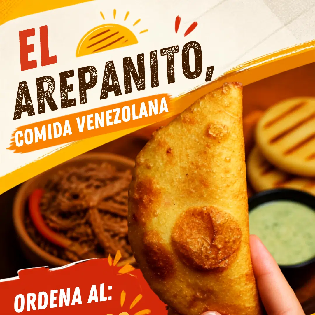 EMPANADAS DE CARNE MECHADA